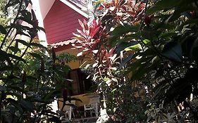 Khao Sok Holiday Resort